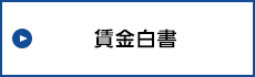 賃金白書（PDF）